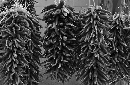 Ristras for Sale, Old Town c. 1951